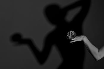 shadow, woman, romance, silhouette, hand, mystical, mood, model, flower, girl, beauty