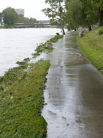 šedá, mokré, beton, chodník, řeka, vysoká voda, Dunaj, ulm, deštivé počasí, suspenze, déšť