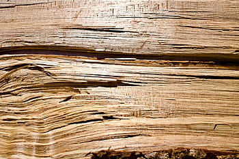 legna, sfondo, grano, di legno, sfondo di legno, ceppo, legname, struttura