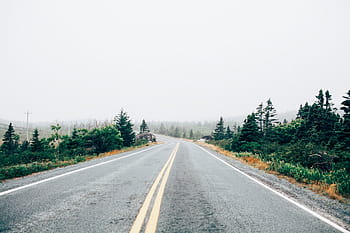 black, asphalt road, cloudy, day, road, trees, plants, lane, path, fog, clouds