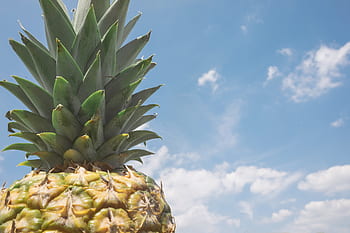 pineapple, dessert, appetizer, fruit, juice, crop, clouds, sky