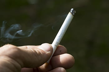 rokok, tembakau, nikotin