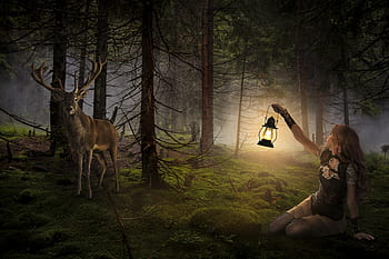 forest, lamp, stag, girl, dark, woods, light, tree, fantasy, nature, outdoors
