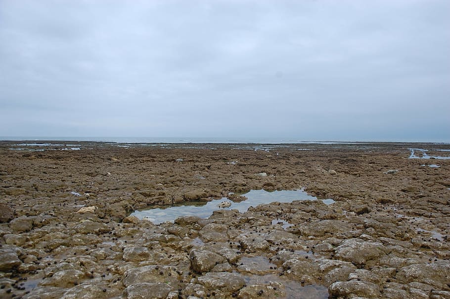 island of oleron, oléron, france, sea, island, beach, fishing, rock, side, water, nature