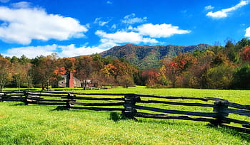green, grasses, field, homestead, ranch, fence, split rail, house, land, country, meadow