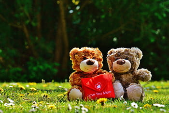 selektivní, zaostřovací fotografie, hnědý, teddy, medvědi, zelená, tráva, den matek, milovat, mami, blahopřání