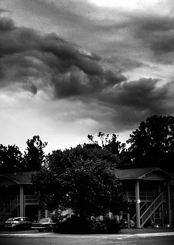 grayscale photography, tree, front, house, Hurricane, Storm, Clouds, Weather, storm, clouds, sky, disaster