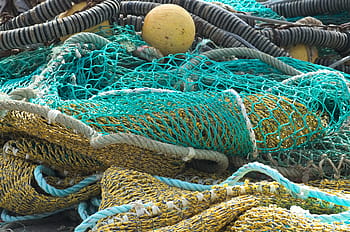 zmačkaný rybí síť, rybářské sítě, ok, Ryba, sítě sítí, rybolov, tradiční rybolov, moře, trawler, přístav, marin