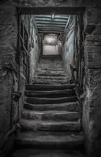 nízký, úhlové fotografování, schody, prázdný, šedá, beton, starý, Dům, sklep, suterén, děsivé