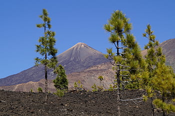teide national park, national park, rock, rock formations, tenerife, canary islands, teide, national park teide, spain, nature, mountain