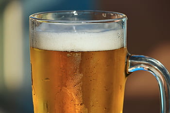 bere, bere de sticlă, orzul de suc, băutură, Pils, export, luminos, Prost, simbol, halbă de bere, proaspăt