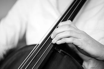 チェロを弾く、 チェロ、 黒と白、 物、 人、 音楽、 楽器、 クラッシック、 ミュージシャン、 バイオリン、 遊ぶ