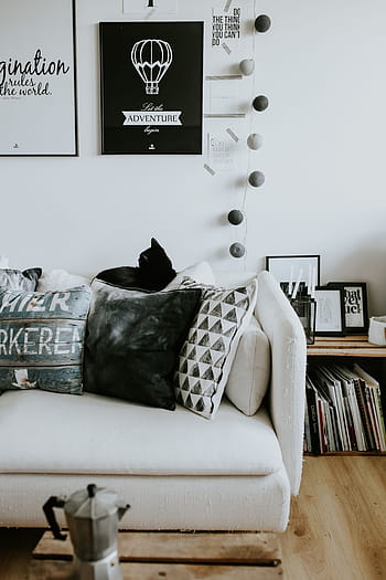 hitam-putih, dekorasi rumah, Kontemporer, rumah putih, interior, sofa, majalah, modern, meja, kucing, bantal
