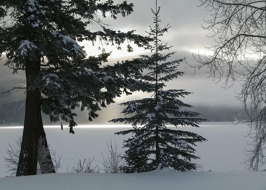 winter, season, cold, snow, icy, landscape, scenery, fog, early morning, sunrise, canim lake