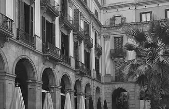 budova, balkony, balkón, Okna, palmy, Černý a bílý, architektura