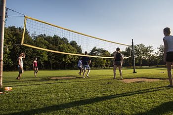 people, plays, volleyball, daytime, sports, sportive, sunny, field, game, play, young people