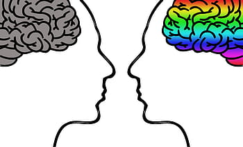 illustration, human, brains, head, brain, thoughts, human body, face, psychology, concentration, ideas