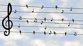 stellt fest, Malerei, Vögel, schwingt, Singen, zwitschern, Musik-, klingen, Stromleitungen, Notenschlüssel, Konzert