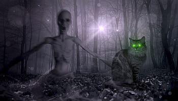 šedá, Černá, kočka, fantazie, les, zombie, strašidelný, předvečer Všech svatých, mystický, Příroda, pohádka