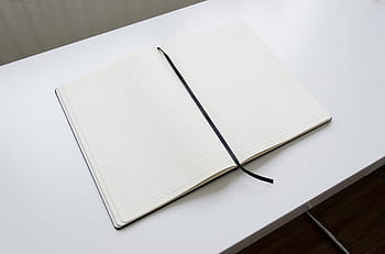 blank book page, notebook, open book, open, paper, book, page, white, education, blank, diary