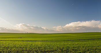 green, grass field, daytie, grass, field, farm, agriculture, plants, nature, crops, clouds