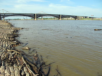 mississippi, river, riverbank, levee, bridge, driftwood, float, muddy, water, flood, saint louis