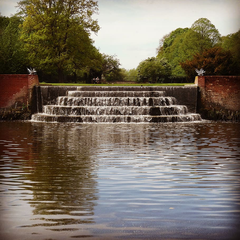 water garden, park, green, nature, landscape, pond, bushy park, london, england, summer, water