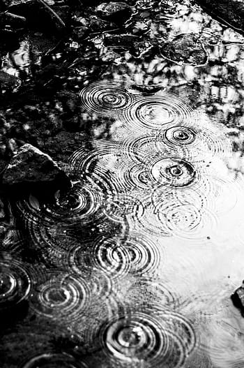 简约, 黑白, 自然, 倒影, 水滴, 雨