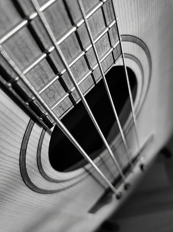 guitar, bass, acoustic guitar, electric guitar, music, rock, musician, instrument, sound, bass guitar, musical instrument
