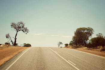 gray, road, trees, grey, top, daytime, rural, sky, the way forward, transportation, diminishing perspective