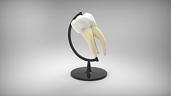 blanc, Humain, dent, noir, supporter, globus, dentisterie, amusement, dentiste, l'arrière-plan, orthodontie