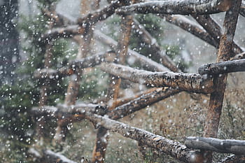 brown fence, close, photography, brown, wooden, fence, wood, sticks, winter, snow, christmas
