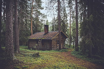 brown, cabin, forest, taken, daytime, wooden, house, wood, logs, cottage, rural