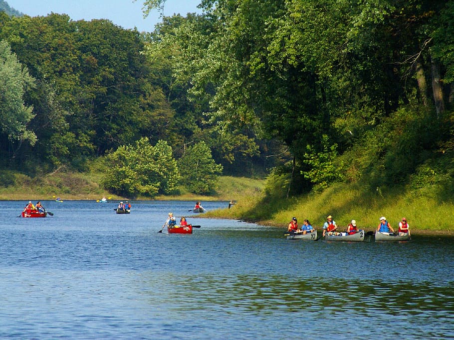canoeing, river, recreation, outdoors, fun, adventure, sport, boating, paddling, leisure, forest