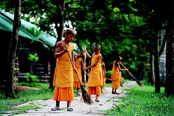 chlapec, žlutá, tradiční, šaty, nováčci, buddhista, práce, jíst, phra dhammakaya, chrám, dhammakaya pagoda