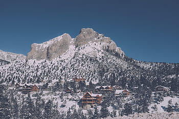 brow houses, hill, surrounded, trees, mountain, landscape, peak, summit, snow, pines, houses