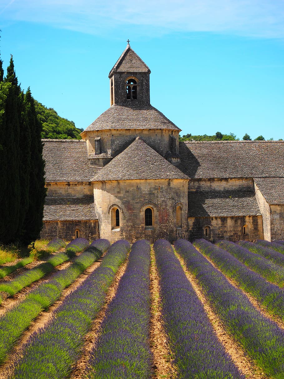 Abbaye De Sénanque, Monastery, Abbey, notre dame de sénanque, the order of cistercians, gordes, vaucluse, france, cistercian monks, sénanque abbey, zisterzienser
