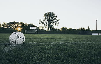 black, white, Black and White, Soccer Ball, Grass, ball, soccer, sport, outdoors, team Sport, playing Field