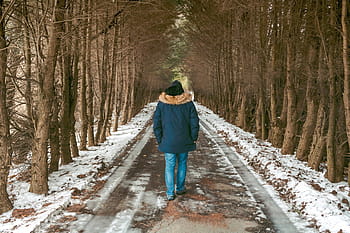 남자, 보행, 집 밖의, 눈, 둘러싸인, 나무, 모피, 후드, 사람들, 사람, 도로
