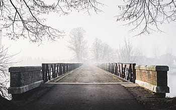 Černá, šedá, beton, během dne, architektura, infrastruktura, Příroda, stromy, sníh zima, Studený, počasí