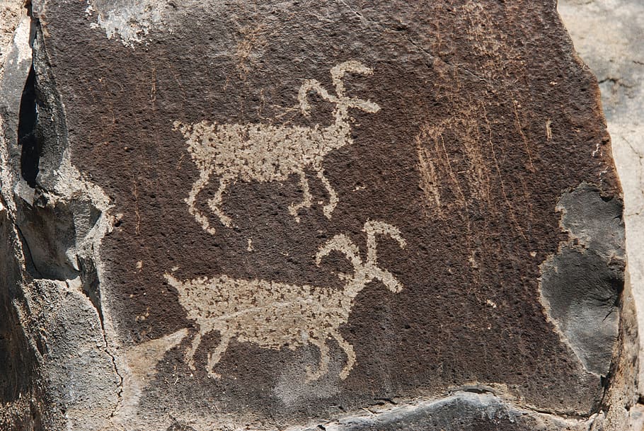 petroglyph, obraz, škrábance, zářez, rodilý Američan, Jelen, státu Washington, Severní Amerika, nikdo, den, detail