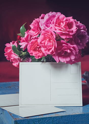 pink, petaled flowers, printer paper, flower, floral, rose, bouquet, background, thank you, note, map