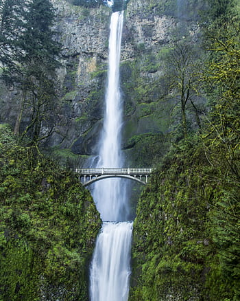 waterfall, nature, mountain, narrow, cliff, forest, natural, water, green, flowing, landscape