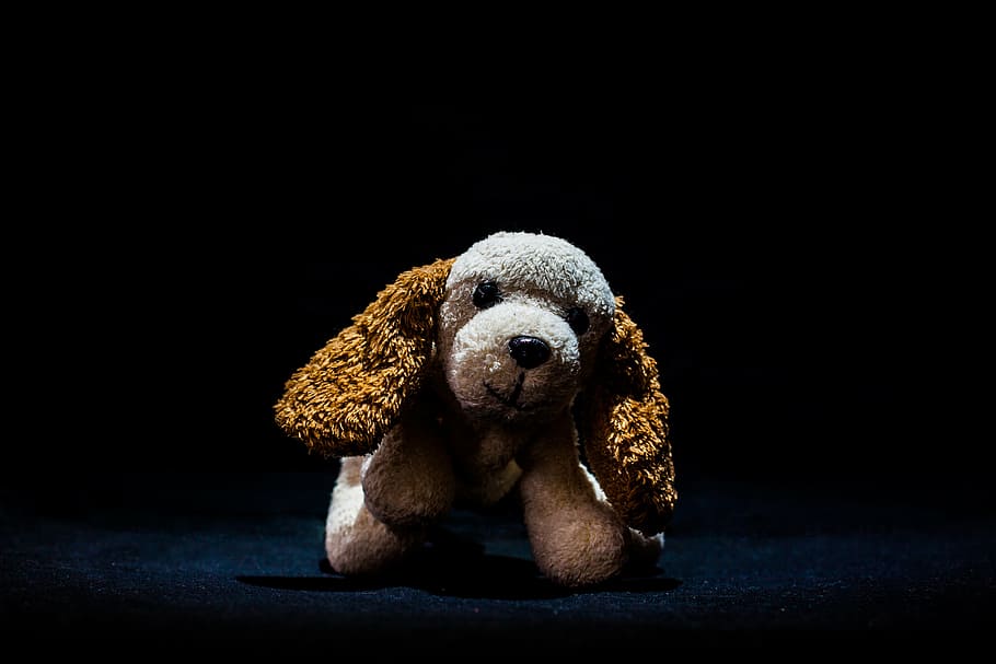 hračka, teddy, roztomilý, měkký, hnědý, bílý, zvíře, dětství, srst, malý, milovat