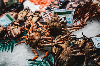 la, boqueria, comida, mercado, barcelona, ​​espanha, La Boqueria, mercado de alimentos, Barcelona Espanha, frutas, saudável