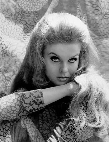 harmaasävyinen valokuvaus, ann margaret, näyttelijä, laulaja, tanssija, moottoripyöräilijä, retro, esiintyjä, Nainen, show, viihde