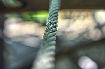 rugiada, corda, intrecciata, maglieria, modello, sfondo, struttura, avvicinamento, terreno di gioco, corda di gioco, corda da arrampicata