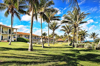 green, grass, coconu trees, hotel, hotel complex, cuba, holiday, sky, palm trees, holiday complex, holiday region