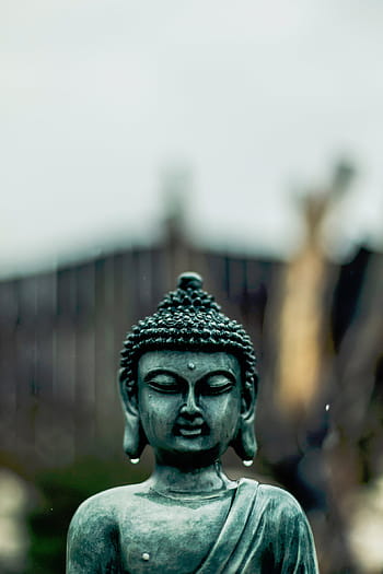 šedá, beton, gautama socha Buddhy, umění, sochařství, socha, Buddha, kámen