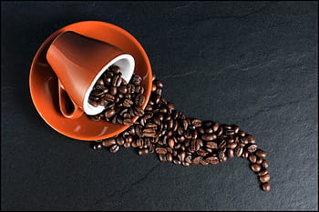 coffee beans, teacup, plate, coffee, cup, coffee cup, beans, bean, caffeine, espresso, drink